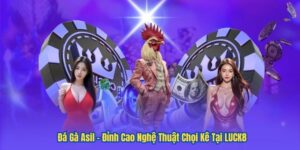 Đá Gà Asil – Đỉnh Cao Nghệ Thuật Chọi Kê Tại LUCK8 100 Đá Gà Asil – Đỉnh Cao Nghệ Thuật Chọi Kê Tại LUCK8
