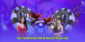 Top 5 Tướng Gà Chọi Thần Kê Được Bet Thủ Săn Lùng 98 Top 5 Tướng Gà Chọi Thần Kê Được Bet Thủ Săn Lùng