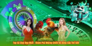 Top Gà Chọi Đẹp Nhất – Khám Phá Những Chiến Kê Đẳng Cấp Thế Giới 101 Top Gà Chọi Đẹp Nhất – Khám Phá Những Chiến Kê Đẳng Cấp Thế Giới