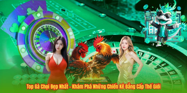 Top Gà Chọi Đẹp Nhất – Khám Phá Những Chiến Kê Đẳng Cấp Thế Giới 1 Top Gà Chọi Đẹp Nhất – Khám Phá Những Chiến Kê Đẳng Cấp Thế Giới